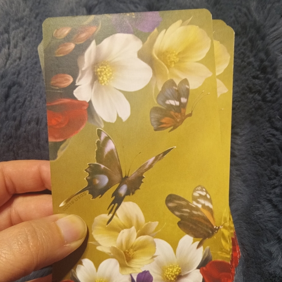 Elle Qui oracle cards - Picture 4 of 9